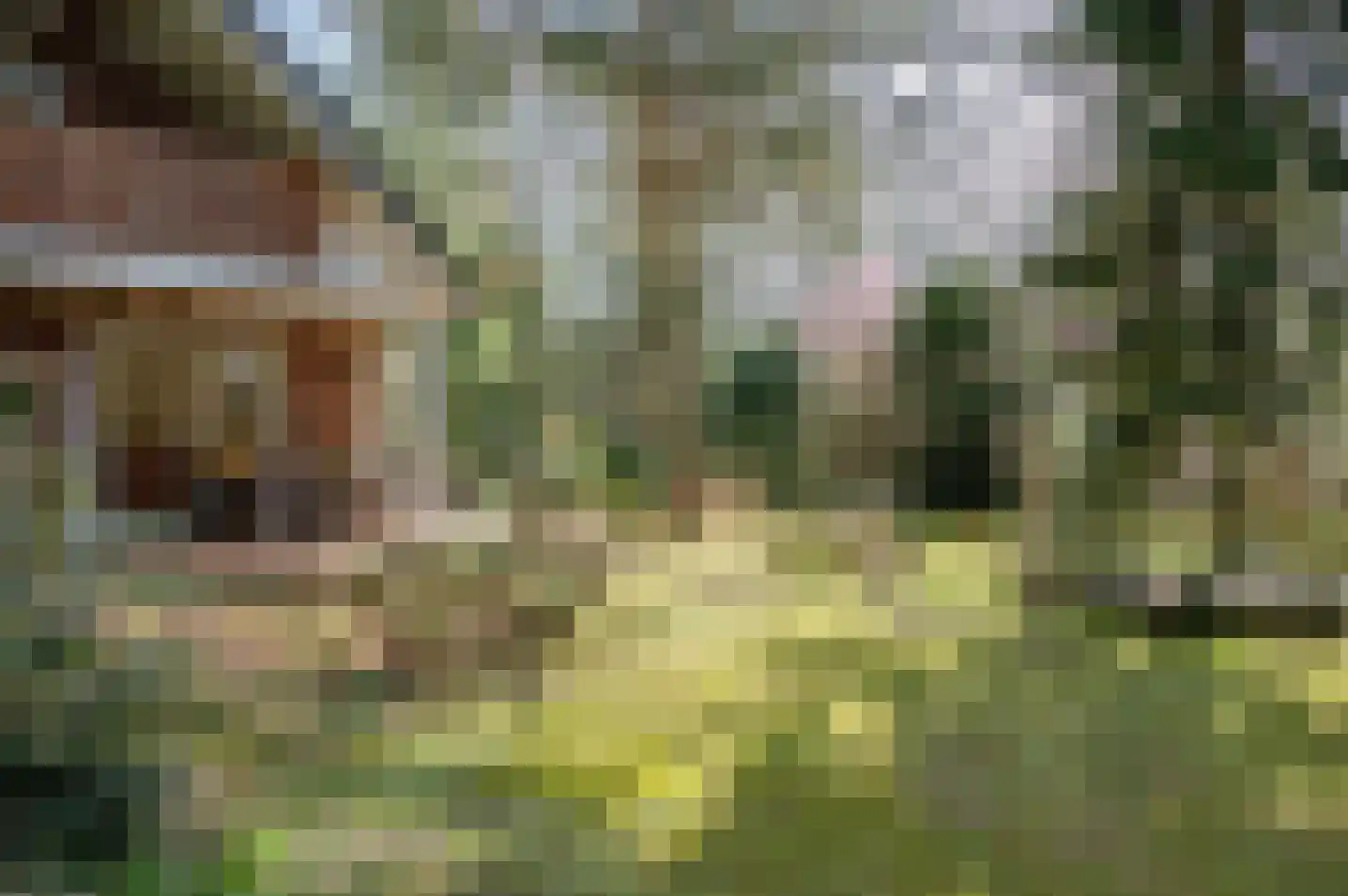 Ruurloseweg 30 V 86 Zelhem thumbnail 30