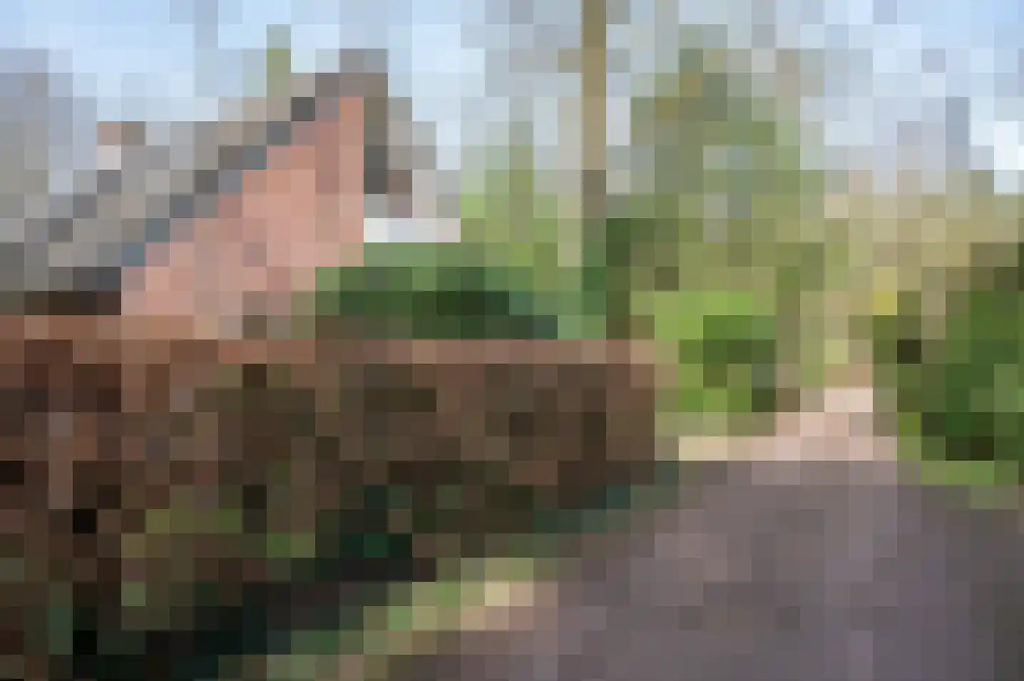 Ruurloseweg 30 V 86 Zelhem thumbnail 4