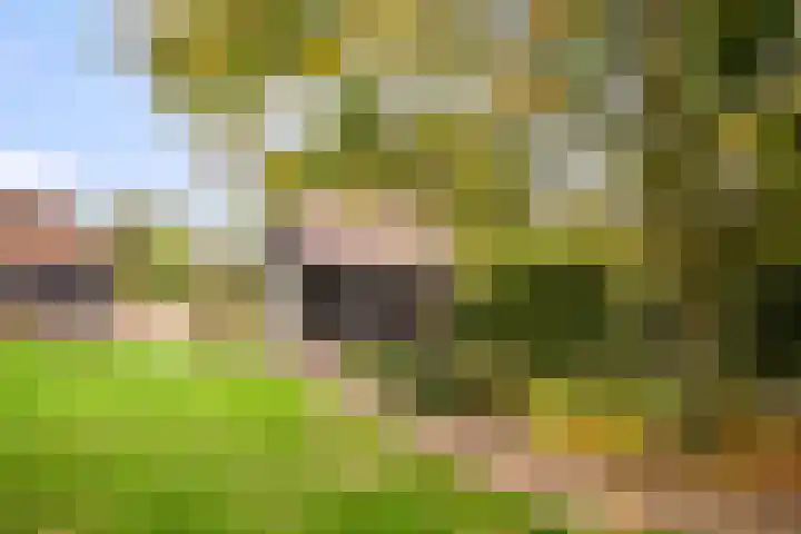 Ruurloseweg 30 Zieuwent thumbnail 61