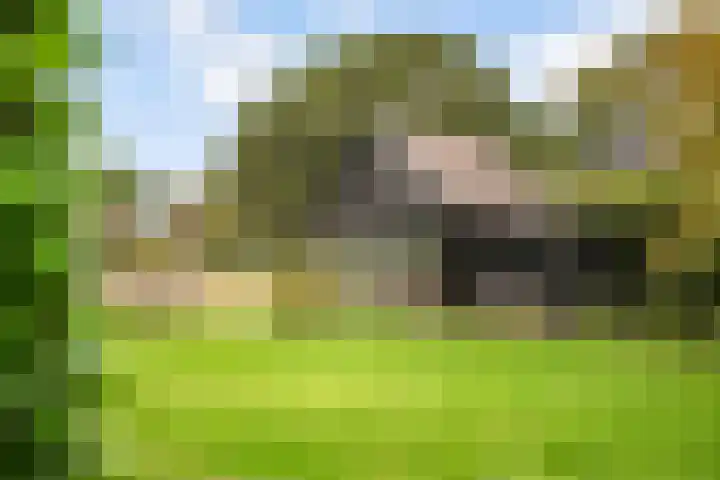 Ruurloseweg 30 Zieuwent thumbnail 62