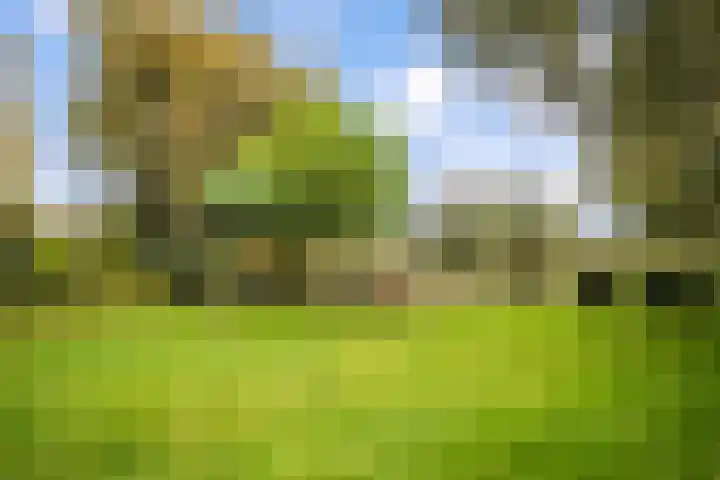 Ruurloseweg 30 Zieuwent thumbnail 64