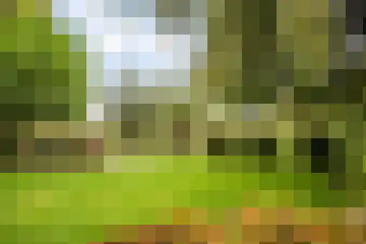 Ruurloseweg 30 Zieuwent thumbnail 65