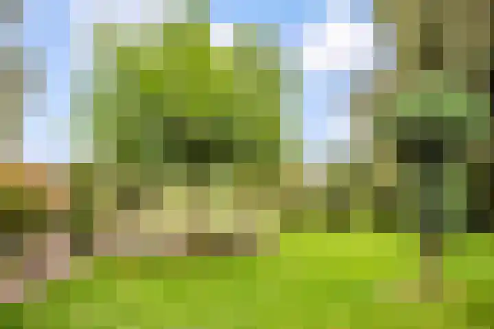 Ruurloseweg 30 Zieuwent thumbnail 66