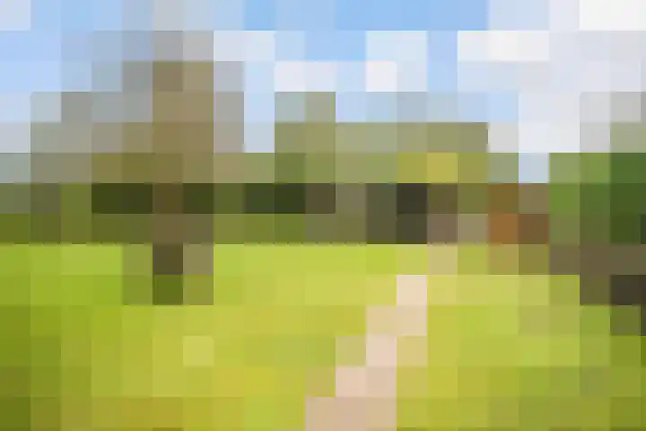 Ruurloseweg 30 Zieuwent thumbnail 68