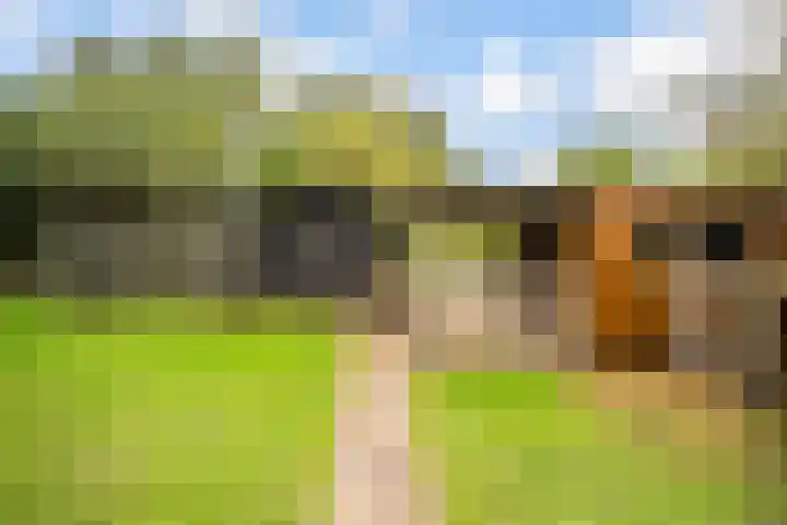Ruurloseweg 30 Zieuwent thumbnail 69