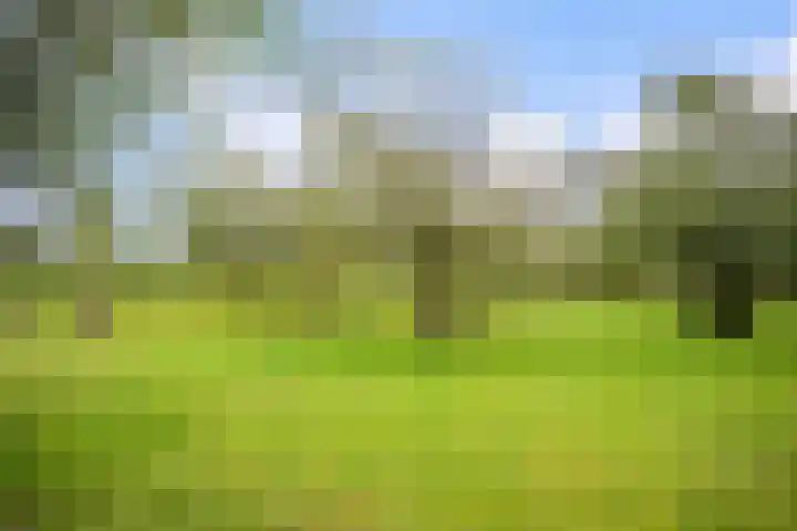 Ruurloseweg 30 Zieuwent thumbnail 73