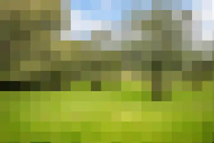 Ruurloseweg 30 Zieuwent thumbnail 74