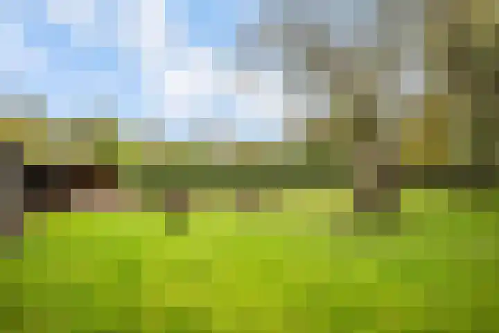 Ruurloseweg 30 Zieuwent thumbnail 75