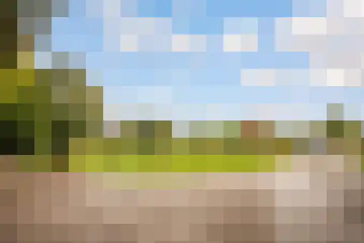 Ruurloseweg 30 Zieuwent thumbnail 77