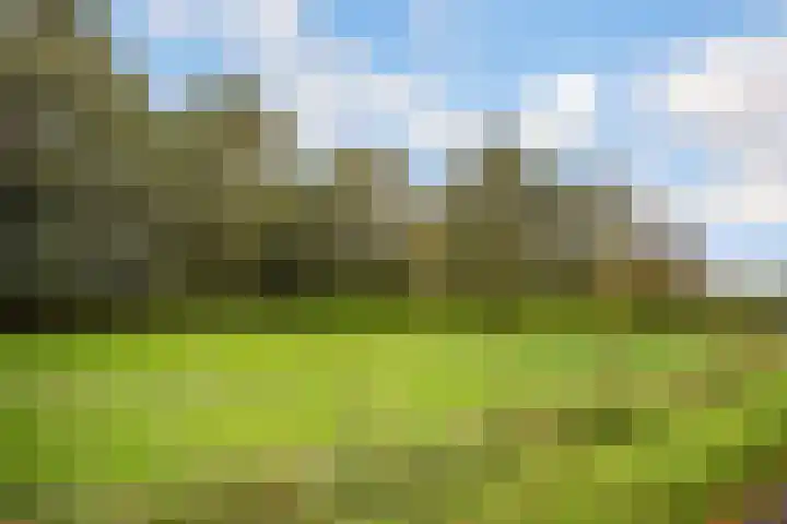 Ruurloseweg 30 Zieuwent thumbnail 78