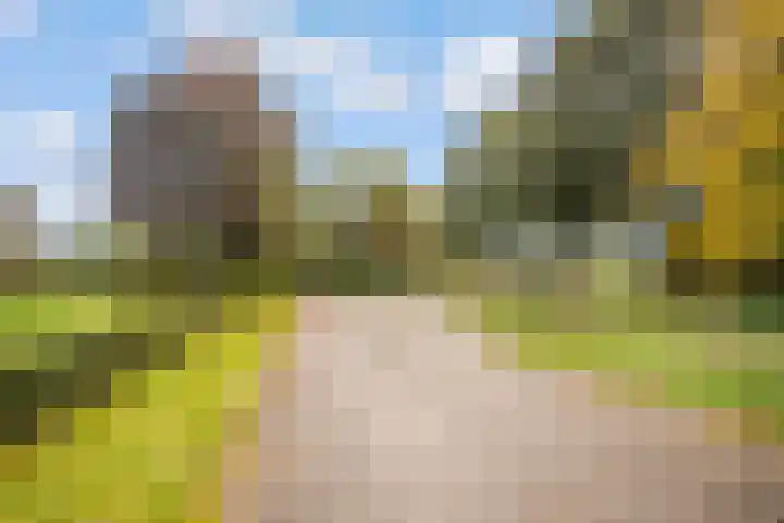 Ruurloseweg 30 Zieuwent thumbnail 79