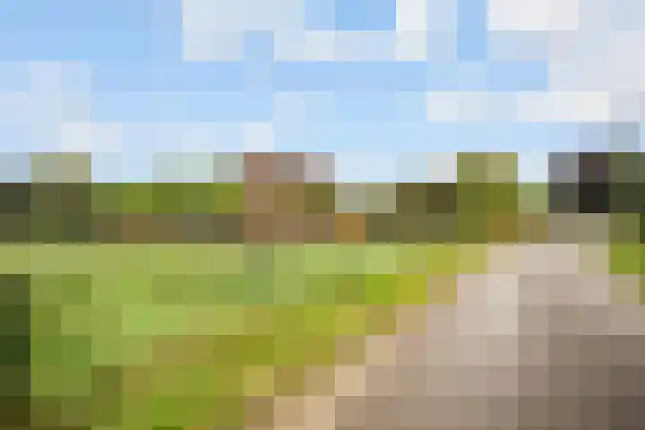 Ruurloseweg 30 Zieuwent thumbnail 83
