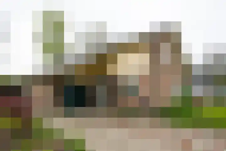 Ruurloseweg 32 Hengelo (Gld) thumbnail 10