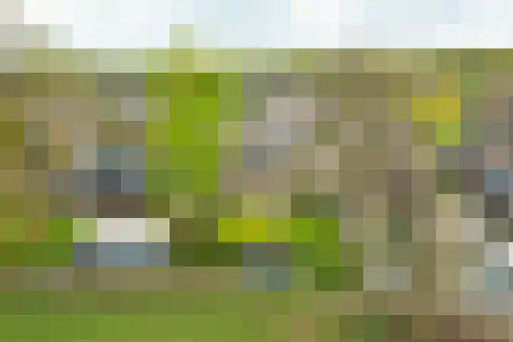 Ruurloseweg 32 Hengelo (Gld) thumbnail 40