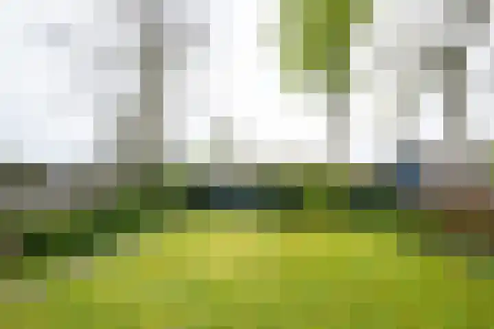 Ruurloseweg 32 Hengelo (Gld) thumbnail 42