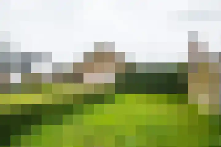 Ruurloseweg 32 Hengelo (Gld) thumbnail 46