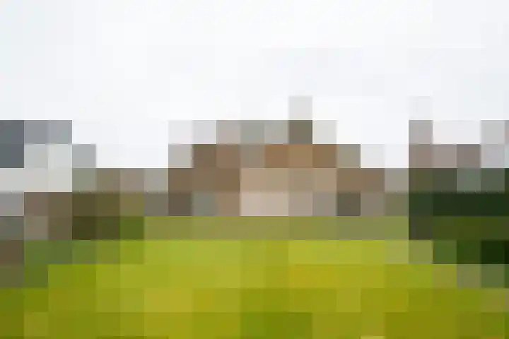 Ruurloseweg 32 Hengelo (Gld) thumbnail 47