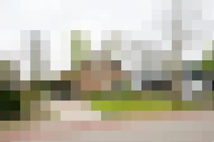 Ruurloseweg 32 Hengelo (Gld) thumbnail 5
