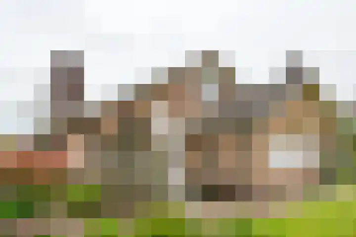 Ruurloseweg 32 Hengelo (Gld) thumbnail 50