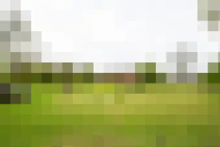 Ruurloseweg 32 Hengelo (Gld) thumbnail 55