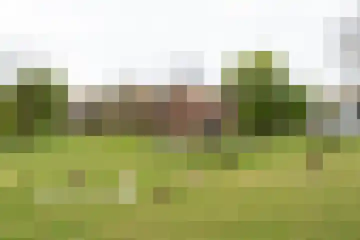 Ruurloseweg 32 Hengelo (Gld) thumbnail 56