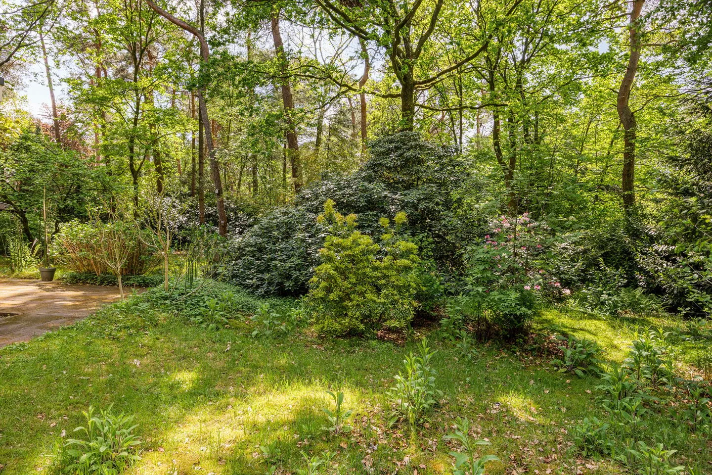 Ruurloseweg 39 T 21 Zelhem thumbnail 20