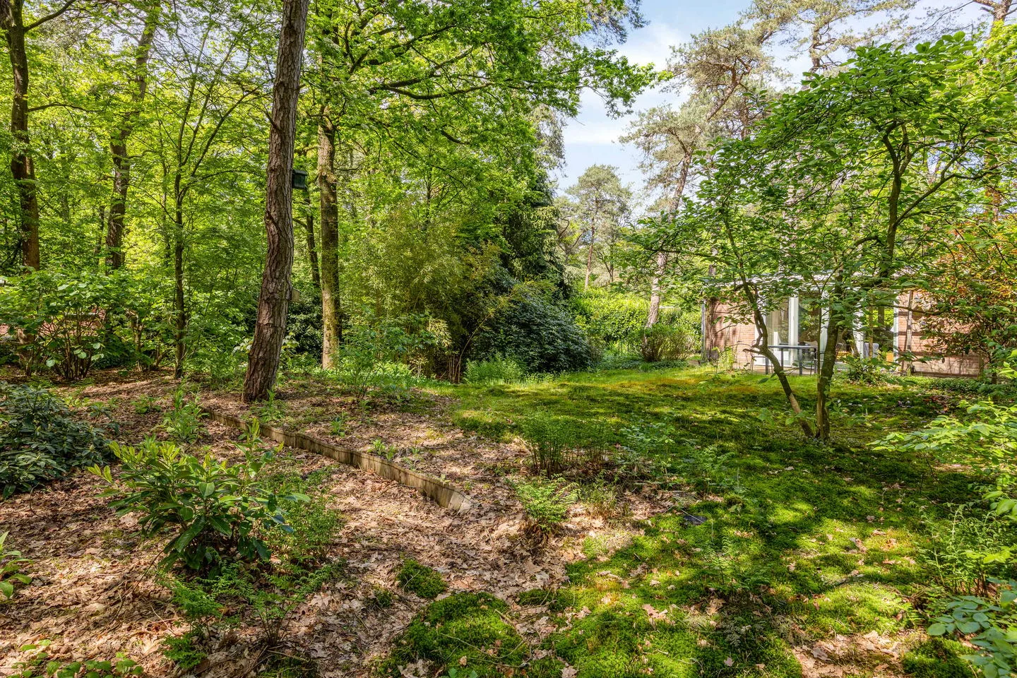 Ruurloseweg 39 T 21 Zelhem thumbnail 23