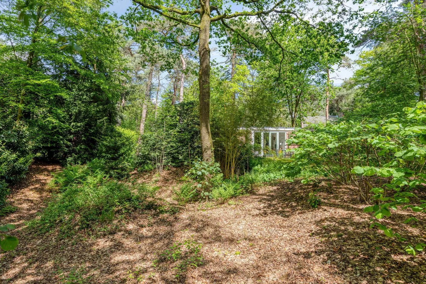Ruurloseweg 39 T 21 Zelhem thumbnail 26