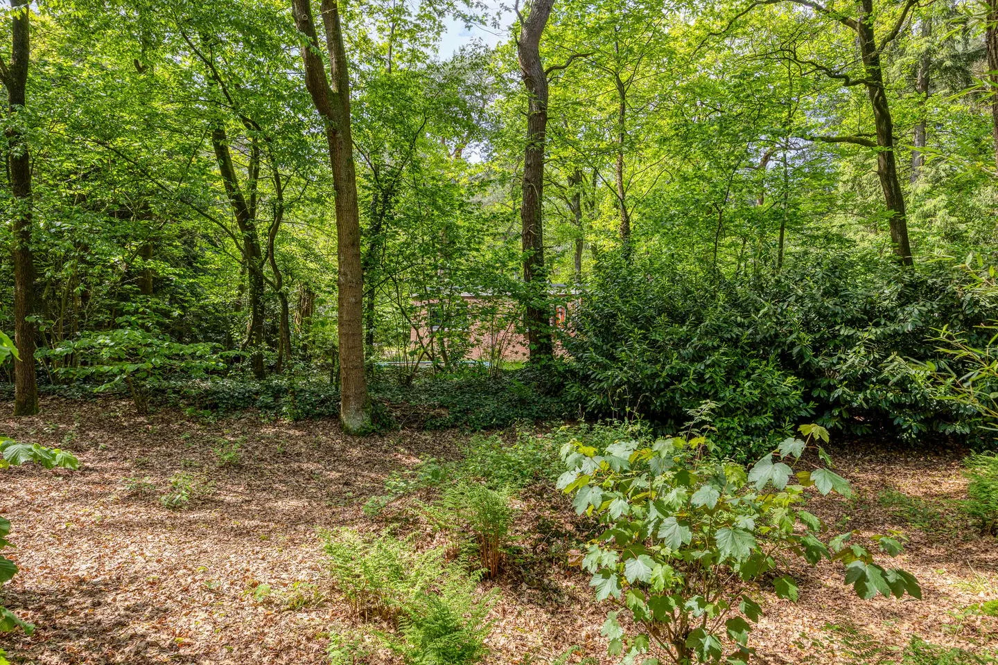 Ruurloseweg 39 T 21 Zelhem thumbnail 28