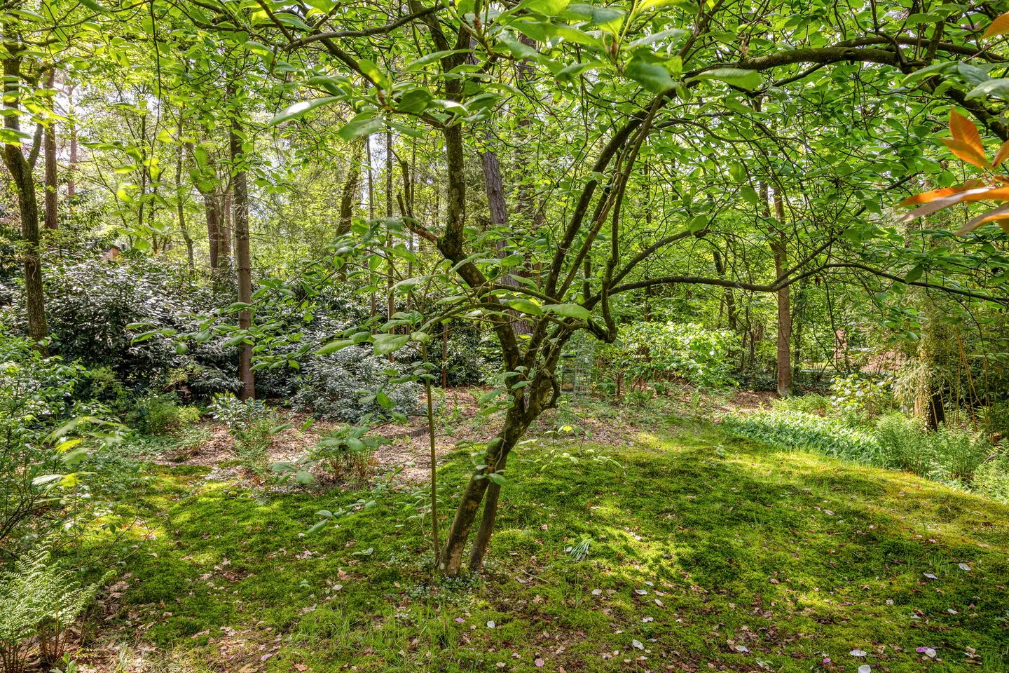 Ruurloseweg 39 T 21 Zelhem thumbnail 29