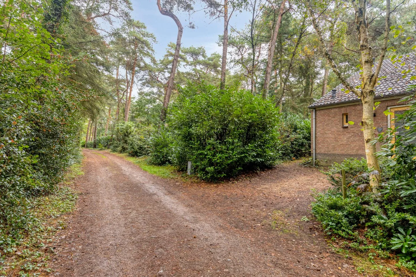 Ruurloseweg 39 W 04 Zelhem thumbnail 4
