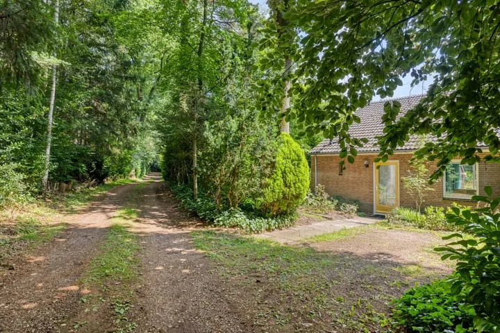 Ruurloseweg 39 W 32 Zelhem thumbnail 25