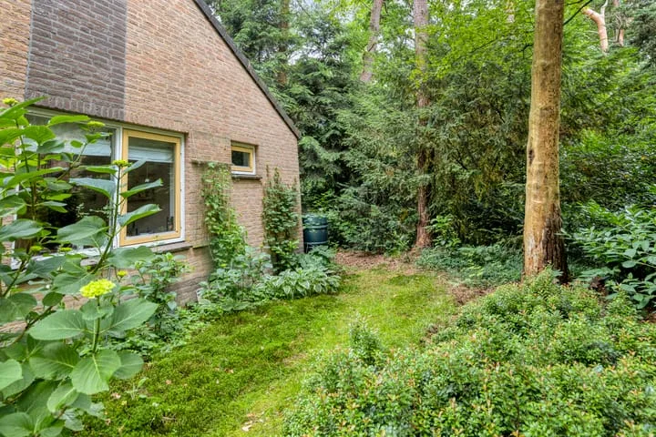 Ruurloseweg 39 W 35 Zelhem thumbnail 30