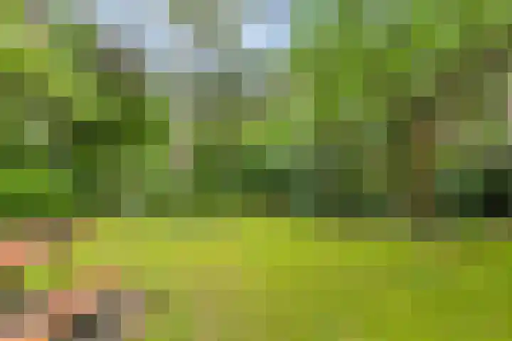 Ruurloseweg 39 W 35 Zelhem thumbnail 31