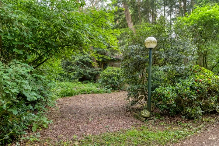 Ruurloseweg 39 W 35 Zelhem thumbnail 38