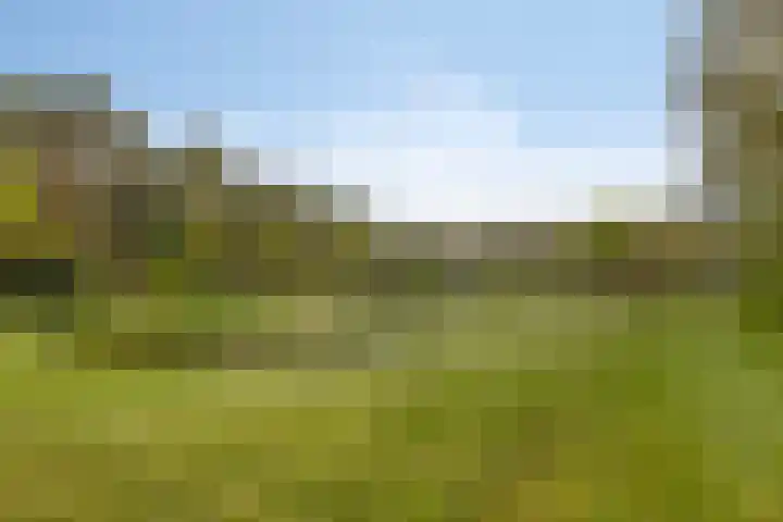 Ruurloseweg 39 W 35 Zelhem thumbnail 41