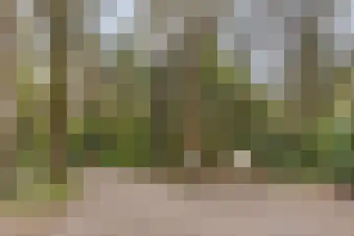 Ruurloseweg 39 W 35 Zelhem thumbnail 42