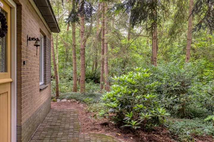 Ruurloseweg 39 W 35 Zelhem thumbnail 5