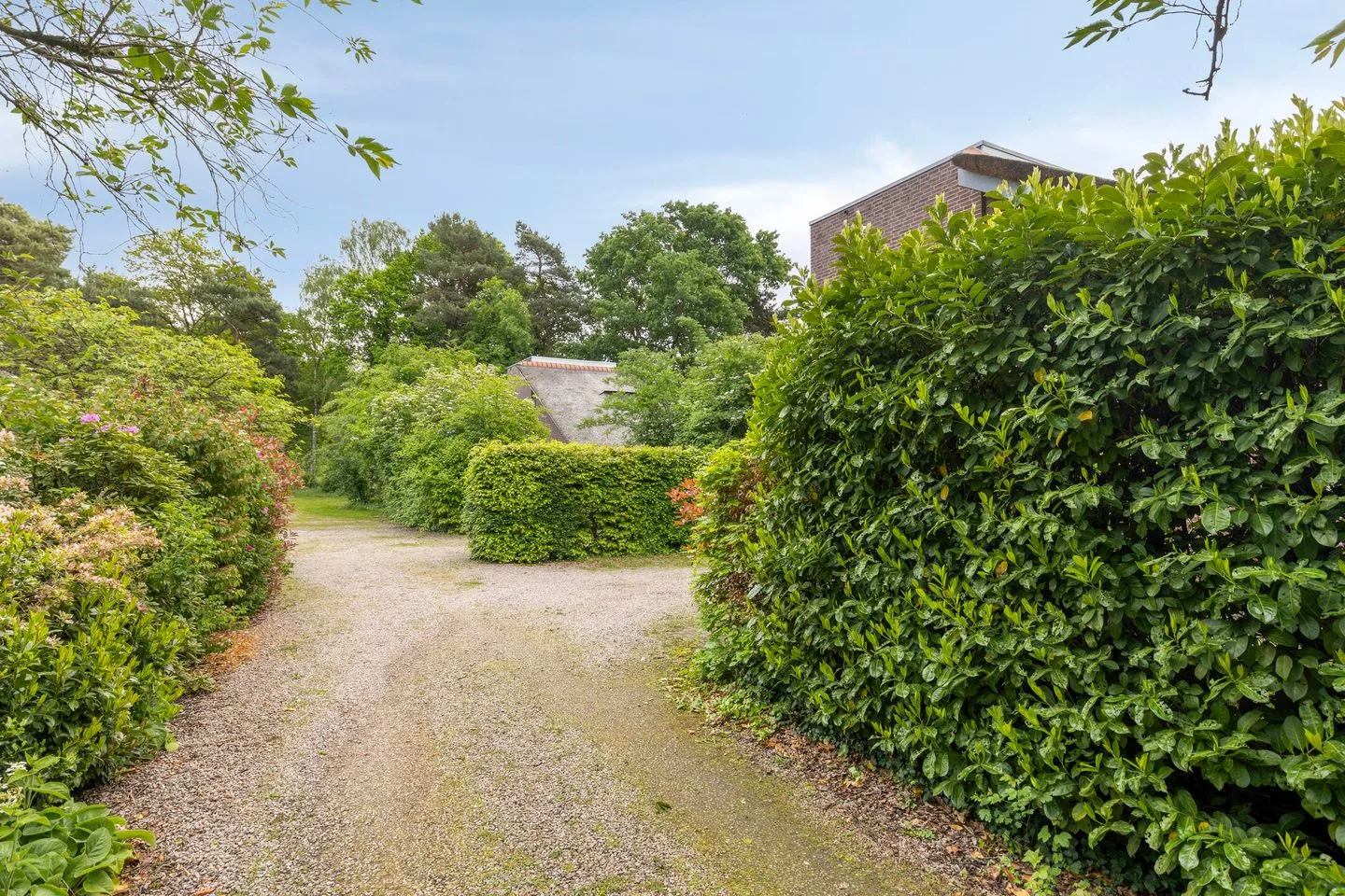 Ruurloseweg 39 W A4 Zelhem thumbnail 38