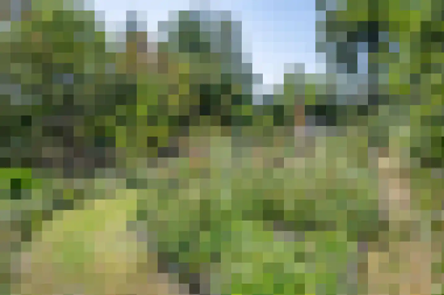 Ruurloseweg 40 Zelhem thumbnail 64