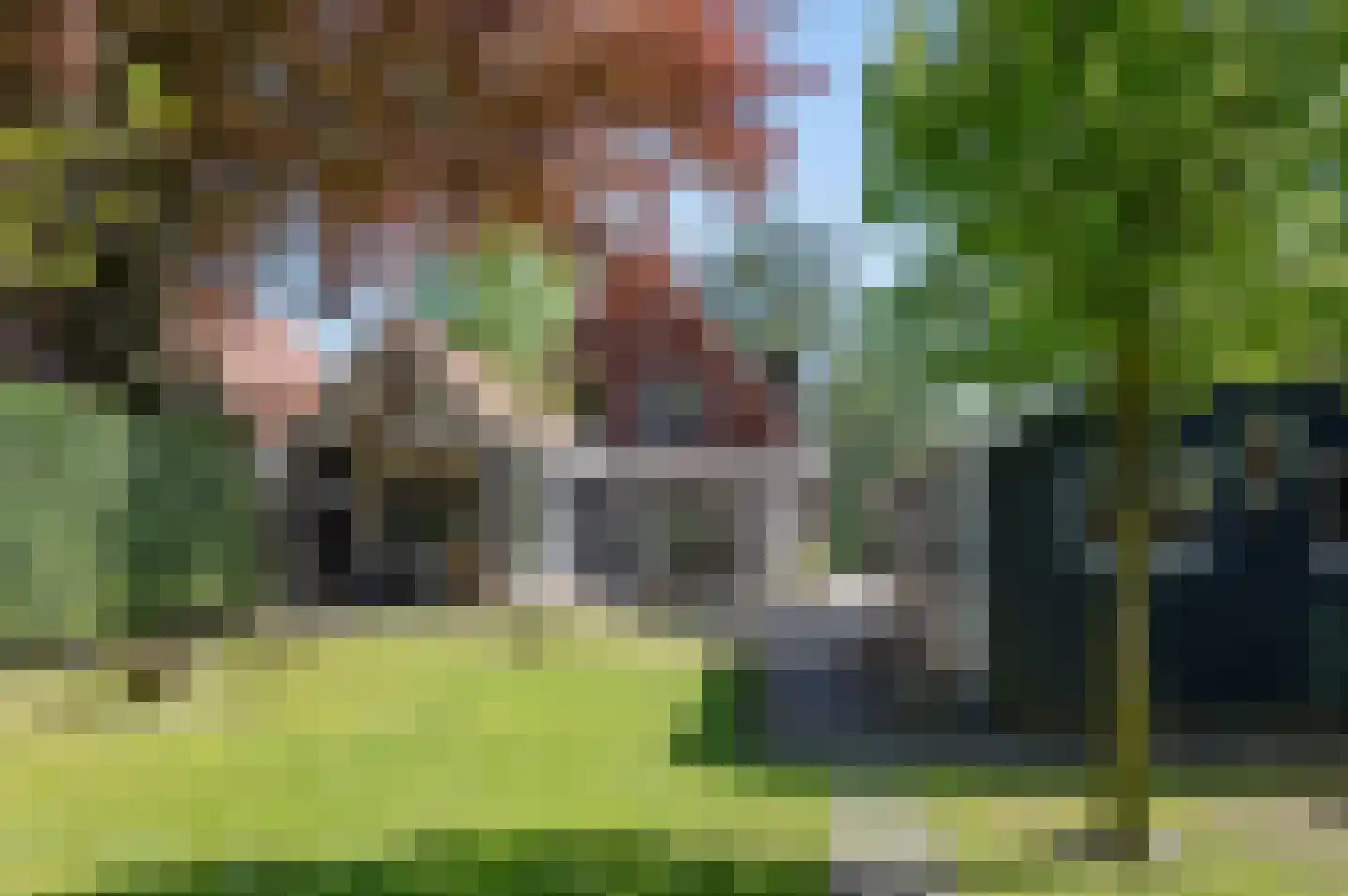Ruurloseweg 49 Vorden thumbnail 31