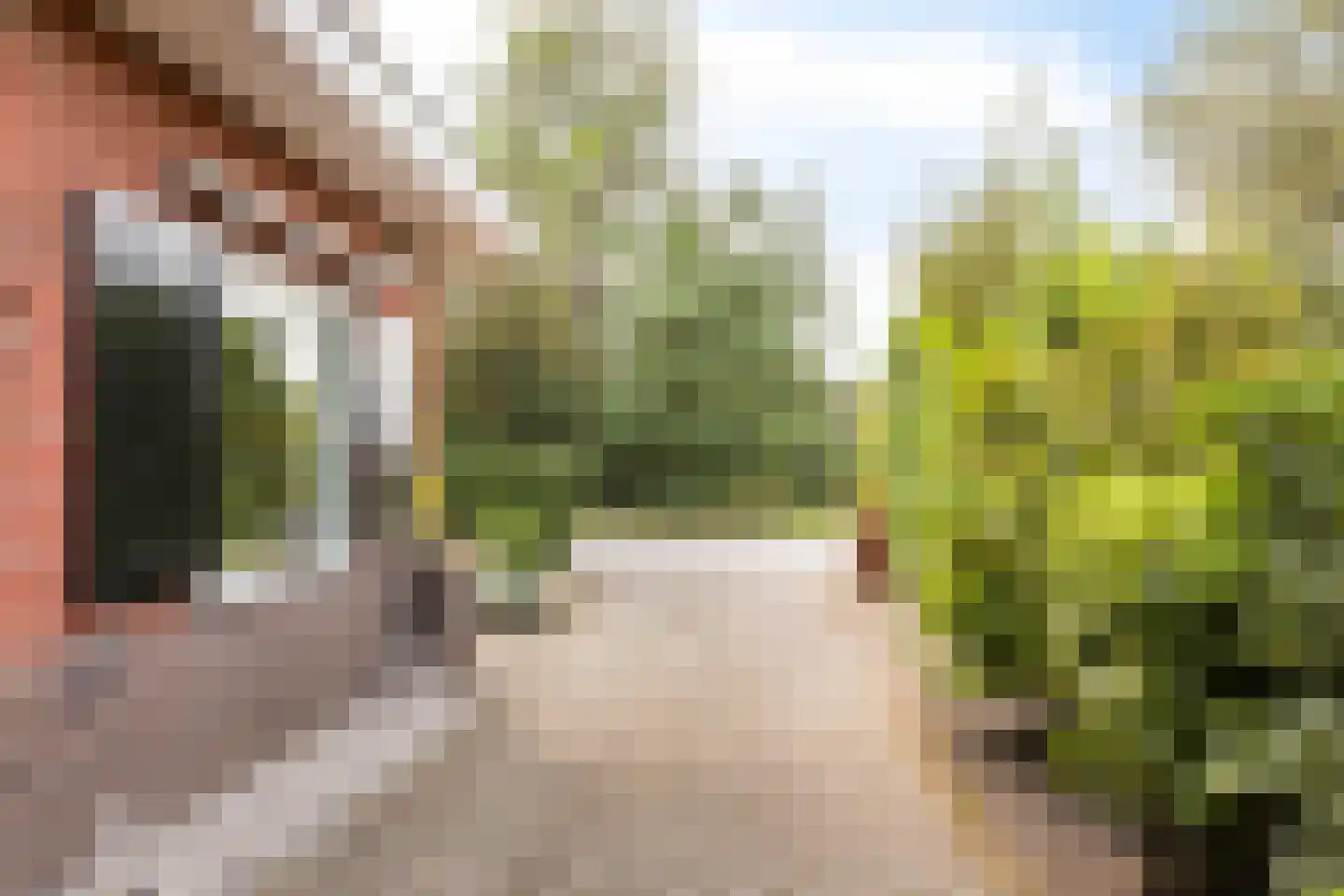 Ruurloseweg 49 Vorden thumbnail 4
