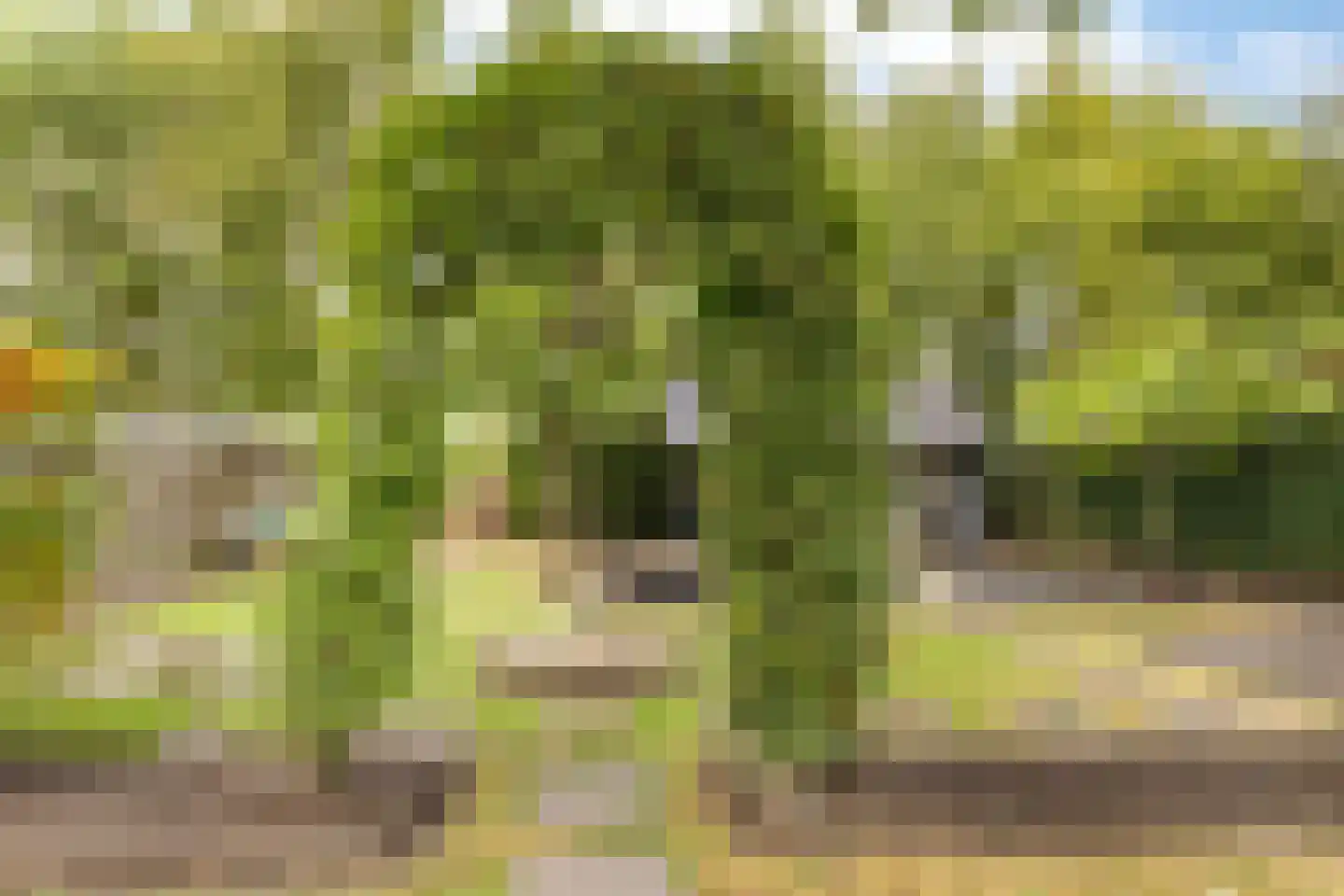 Ruurloseweg 49 Vorden thumbnail 67