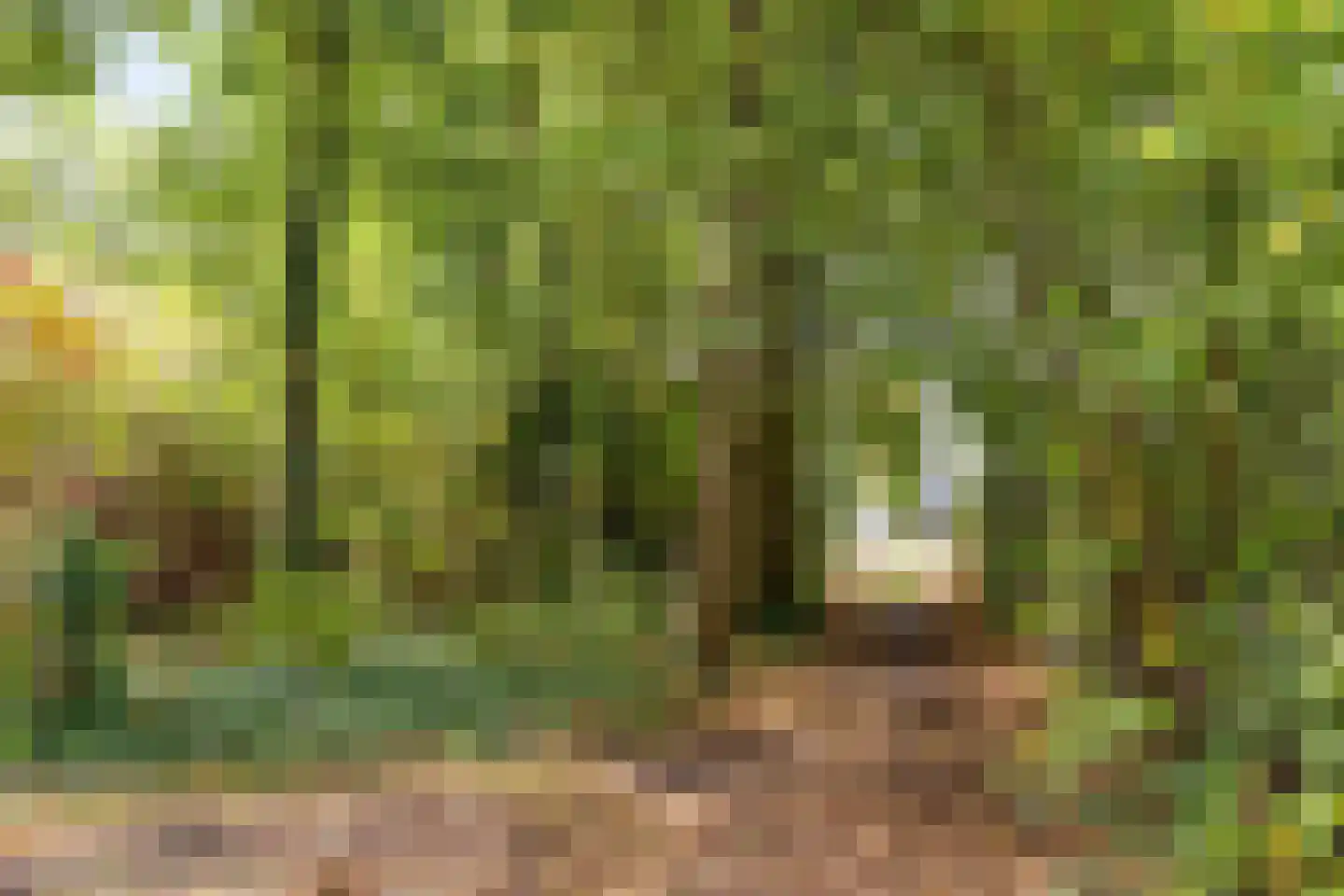 Ruurloseweg 49 Vorden thumbnail 74