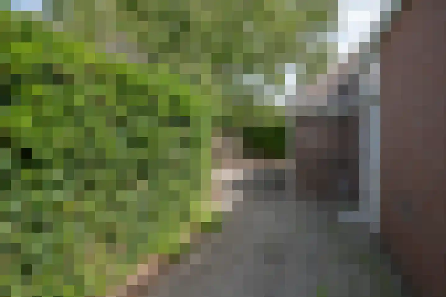 Ruurloseweg 5 Hengelo (Gld) thumbnail 37