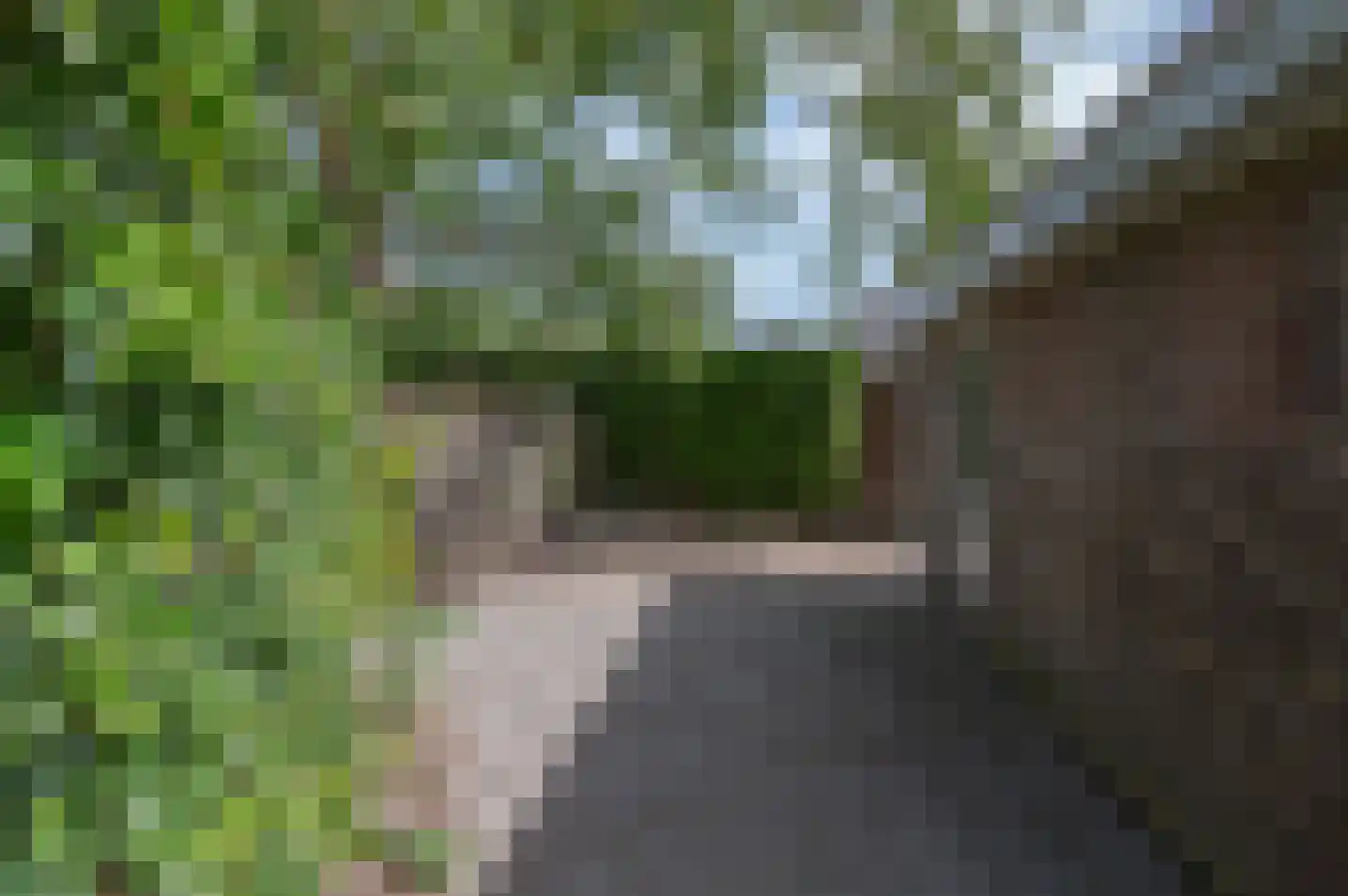 Ruurloseweg 5 Hengelo (Gld) thumbnail 38