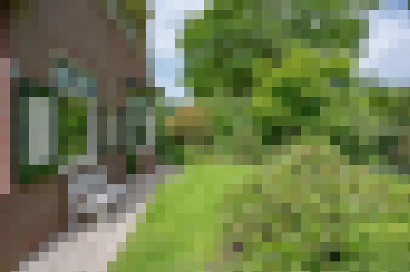 Ruurloseweg 52 Vorden thumbnail 10