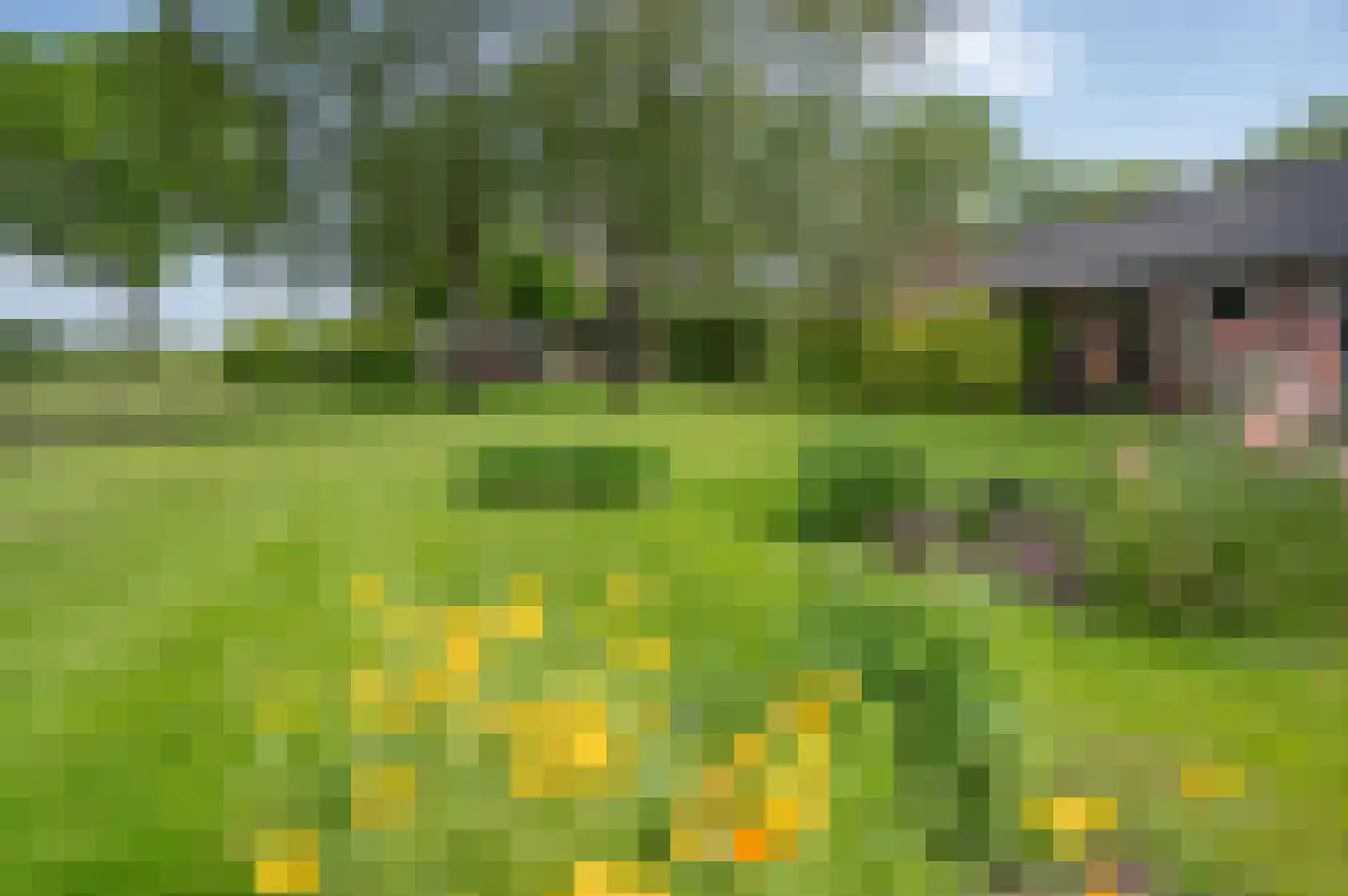 Ruurloseweg 52 Vorden thumbnail 59