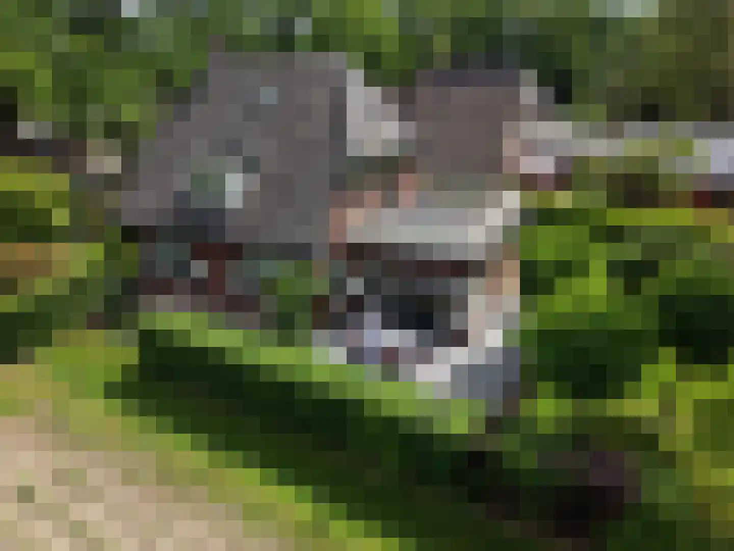 Ruurloseweg 52 Vorden thumbnail 6
