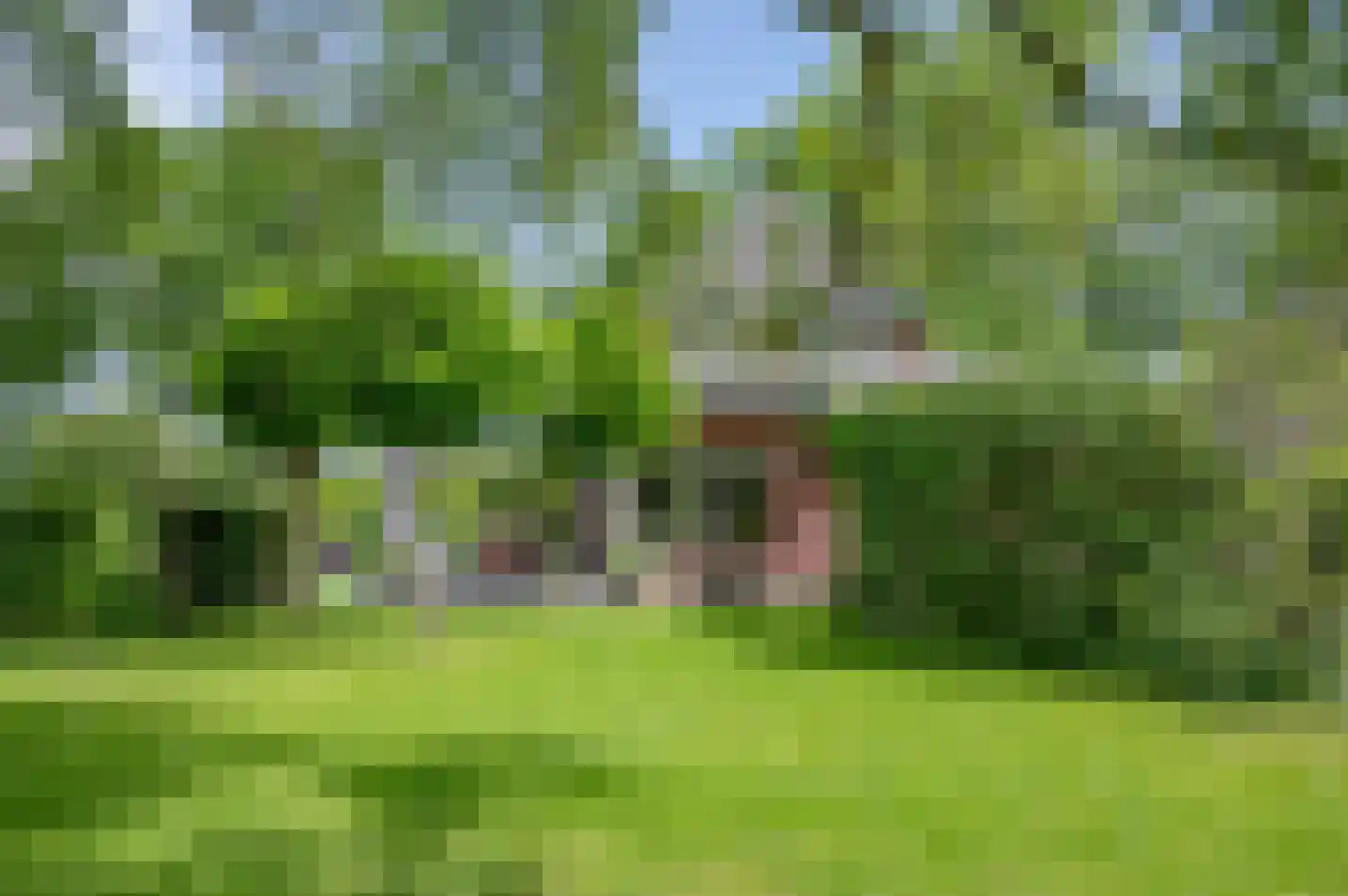 Ruurloseweg 52 Vorden thumbnail 60